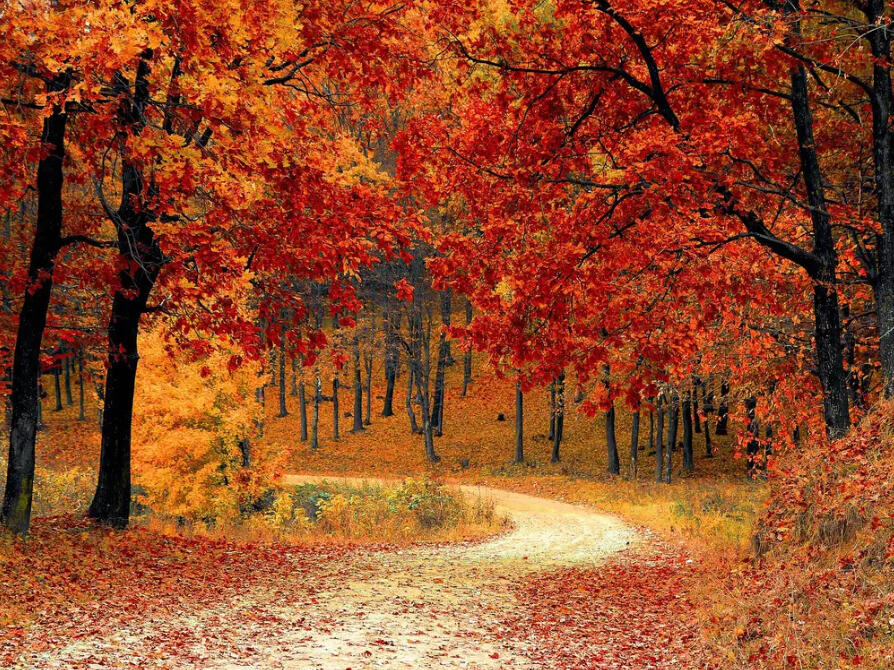 October 2024